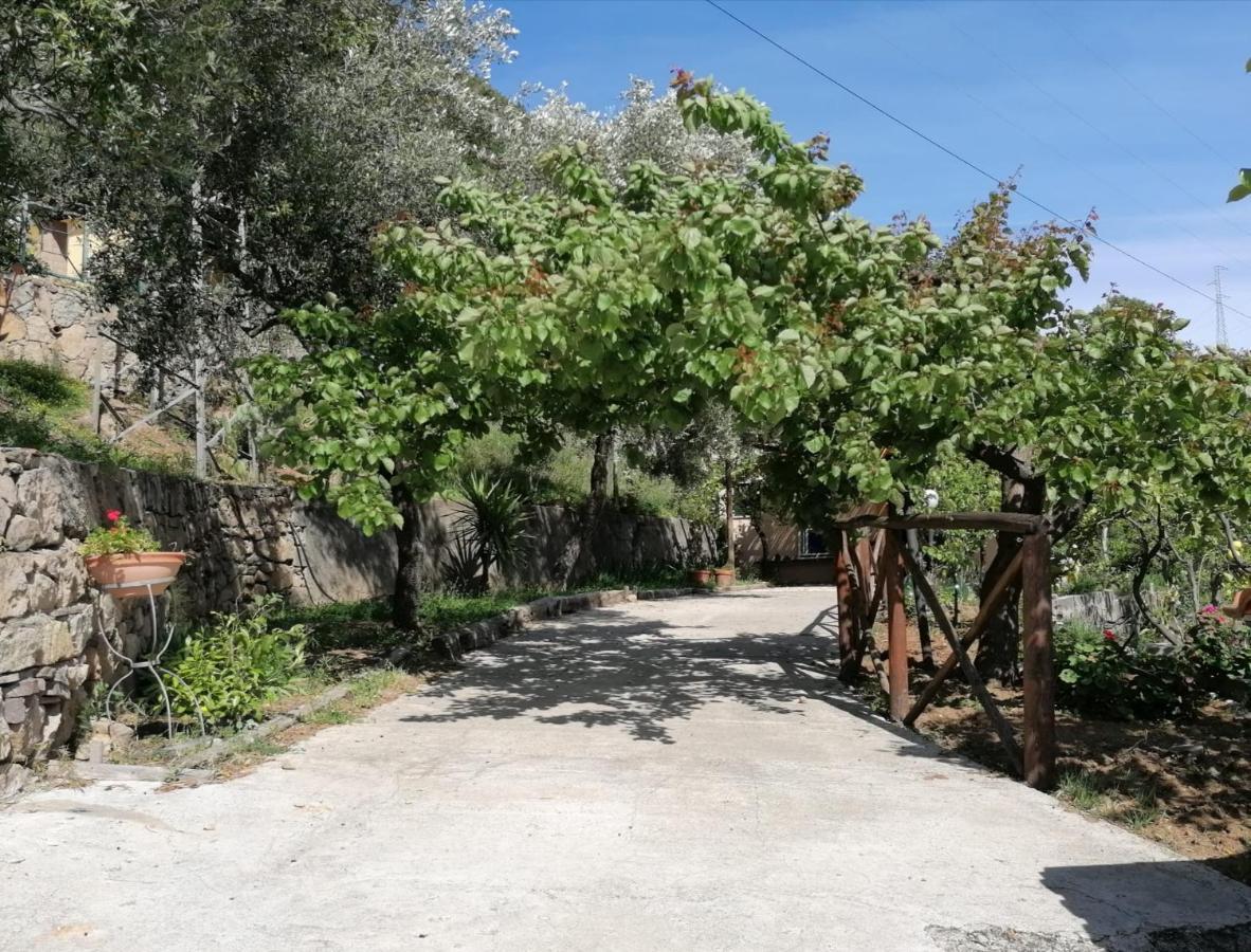 Villa Incanto B&B Caprioli Zewnętrze zdjęcie